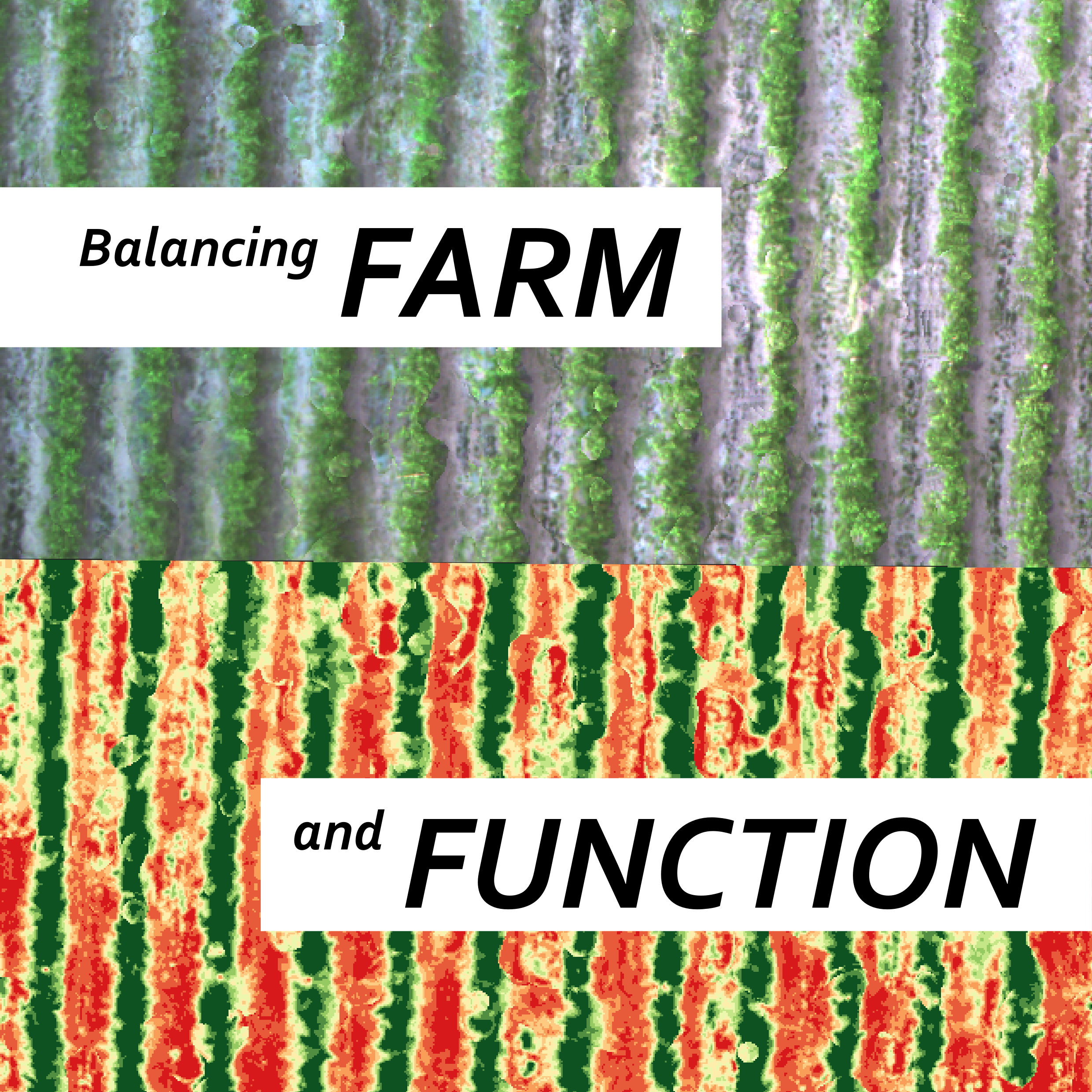 Balancing Farm and Function
