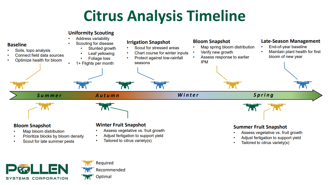Citrus Timeline