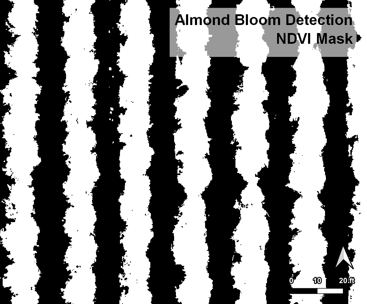 Bloom Sample Close with NDVI Mask